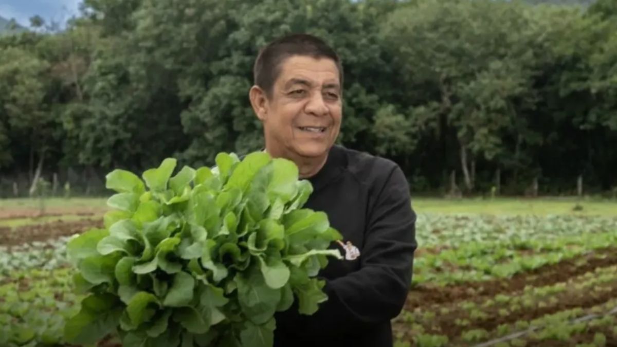 Horta comunitária de Zeca Pagodinho em Xerém, com o artista segurando um grande maço de hortaliças frescas, símbolo de combate à fome e incentivo à agricultura sustentável.