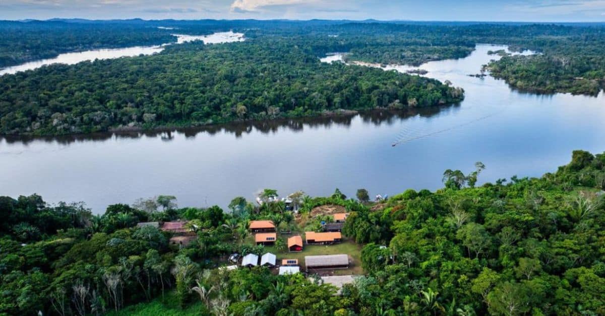 Vista aérea da Bacia do Rio Xingu, com floresta densa e o rio serpenteando a paisagem, onde comunidades ribeirinhas podem ser beneficiadas pelo edital BNDES de restauração ecológica.