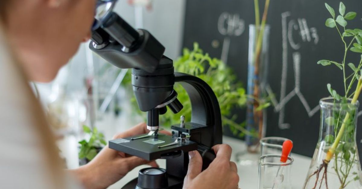 medicina integrativa - Pessoa em ambiente de laboratório observando uma amostra em microscópio. Ao fundo, há plantas em frascos de vidro e fórmulas químicas desenhadas em quadro negro, remetendo à pesquisa científica em fitoterapia e práticas integrativas.