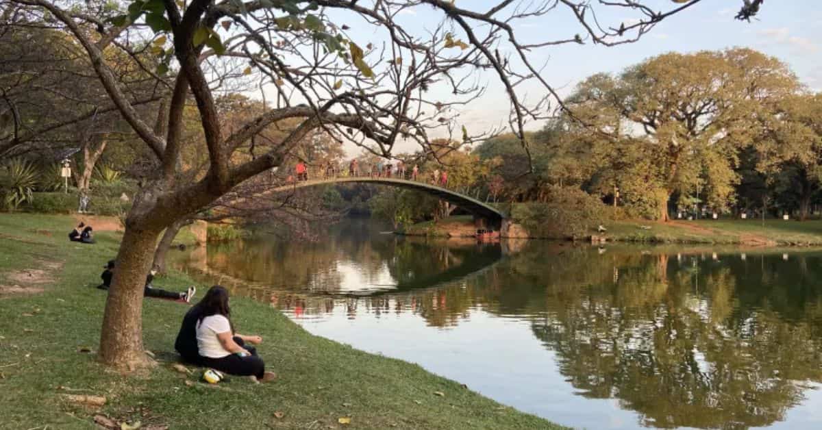 Áreas verdes urbanas no Parque Ibirapuera em São Paulo