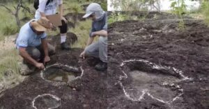 Pesquisadores analisam pegadas de dinossauros em Roraima