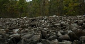 Campo de rochas que cantam no Ringing Rocks Park, na Pensilvânia, com pedras de diabase espalhadas entre a floresta.