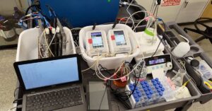 protótipo solar converte urina em fertilizante sustentável