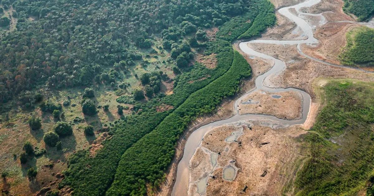 Floresta amazônica ao lado de área degradada com rio em estágio de seca avançada mostra os impactos da crise climática.