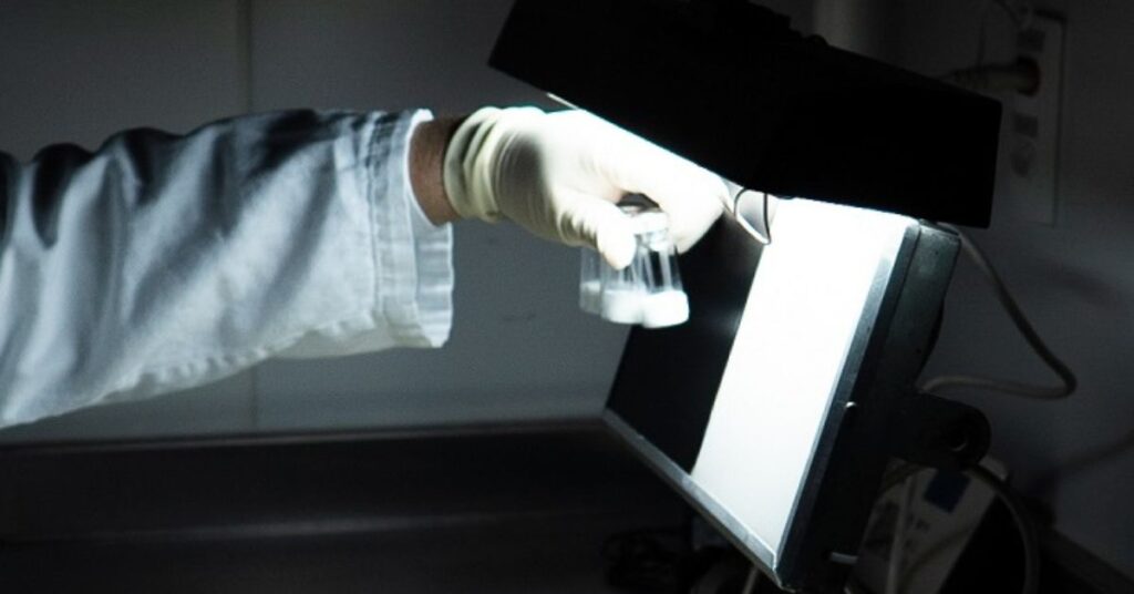 vacina de dose única para a dengue sendo analisada em bancada laboratorial