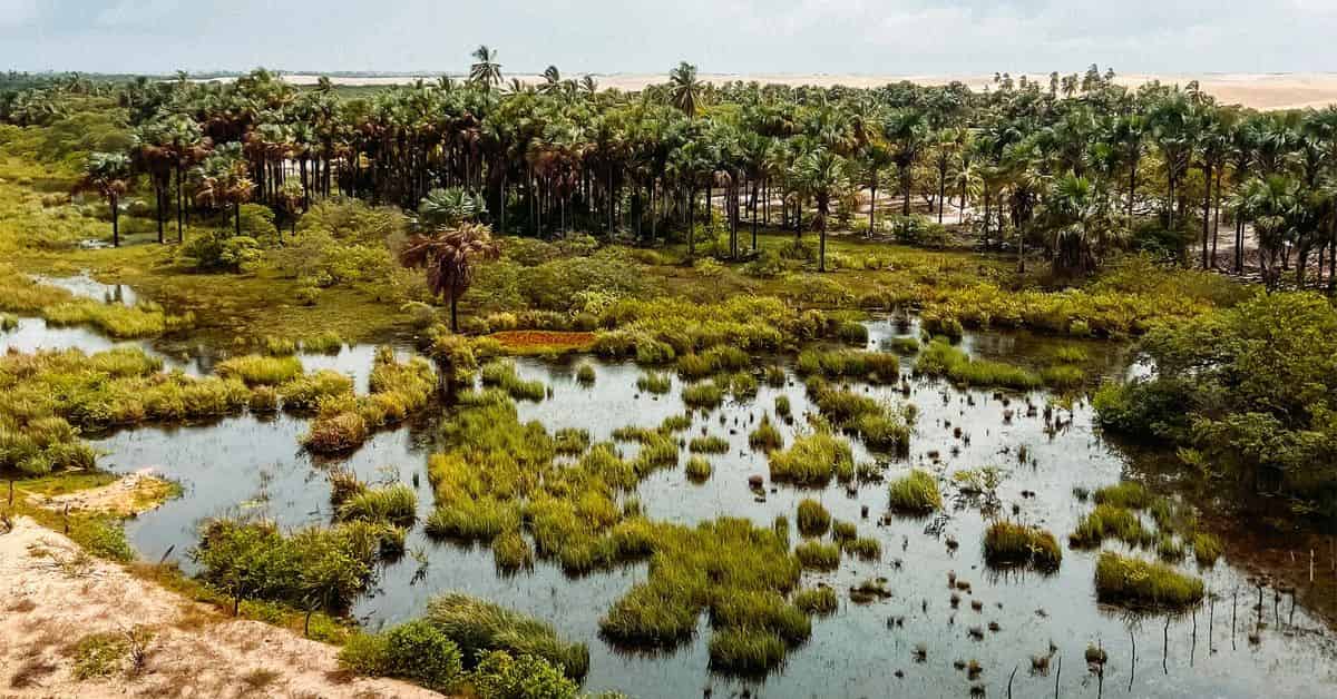 Parque Nacional dos Lençóis Maranhenses com oásis de Mucambo e áreas alagadas