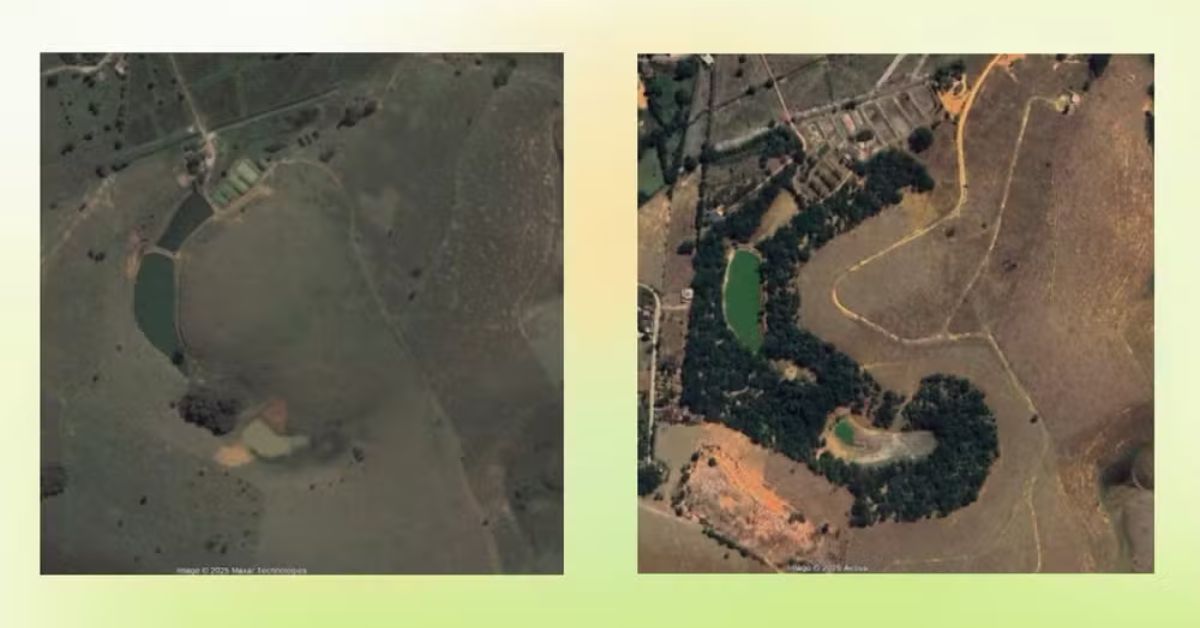 reflorestamento no Espírito Santo mostra área degradada antes e após recuperação ambiental