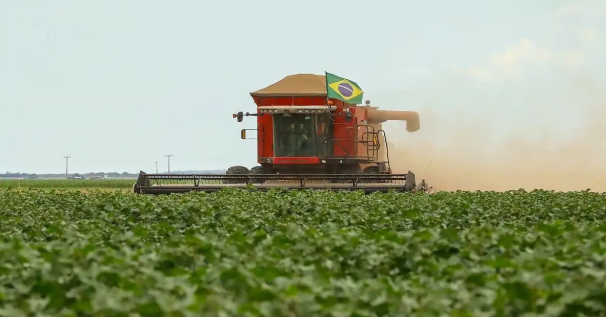Colheitadeira em lavoura durante safra, ilustrando impacto para agricultores afetados pelo tarifaço nos EUA.