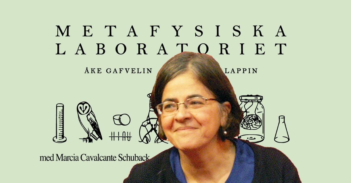 Filósofa brasileira premiada na Alemanha, Márcia Sá Cavalcante Schuback, em registro acadêmico