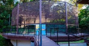 Instituto Butantan inaugura laboratório suspenso integrado à Mata Atlântica