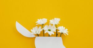 inteligência emocional no cinema representada por flores surgindo de um espaço interno