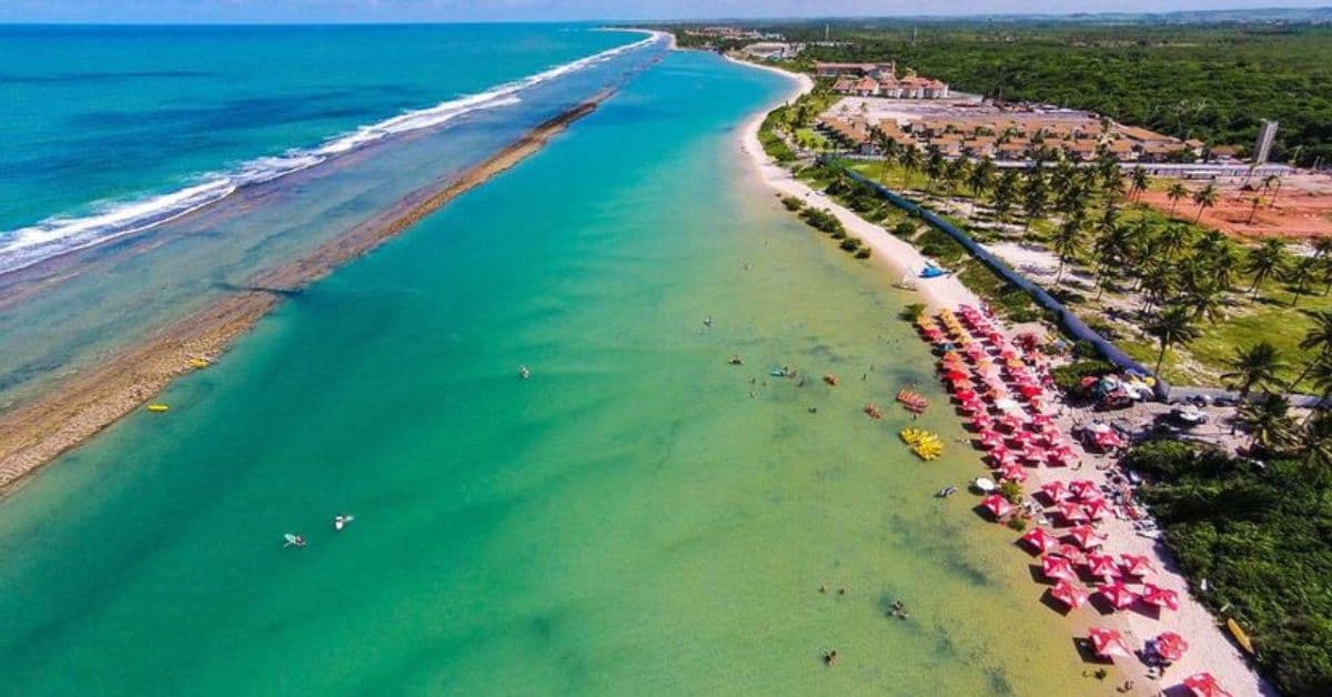 piscina natural de Pernambuco formada pelos arrecifes da Praia de Muro Alto