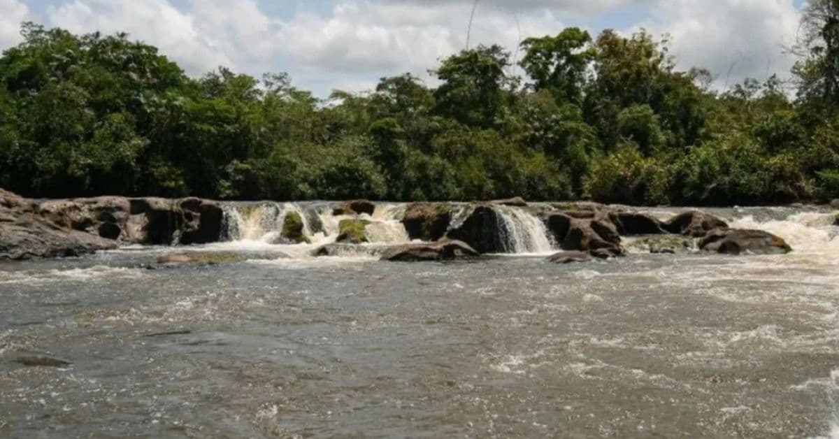 unidades de conservação do Brasil na RDS do Rio Iratapuru, no Amapá