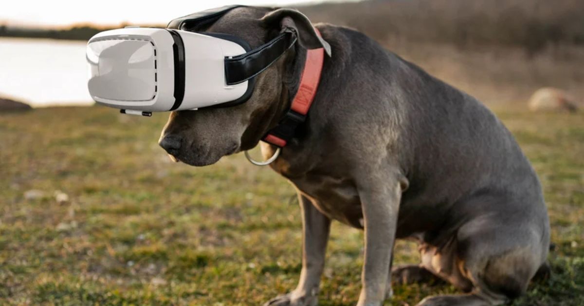 Cachorro usando coleira com IA equipada com sensores de monitoramento