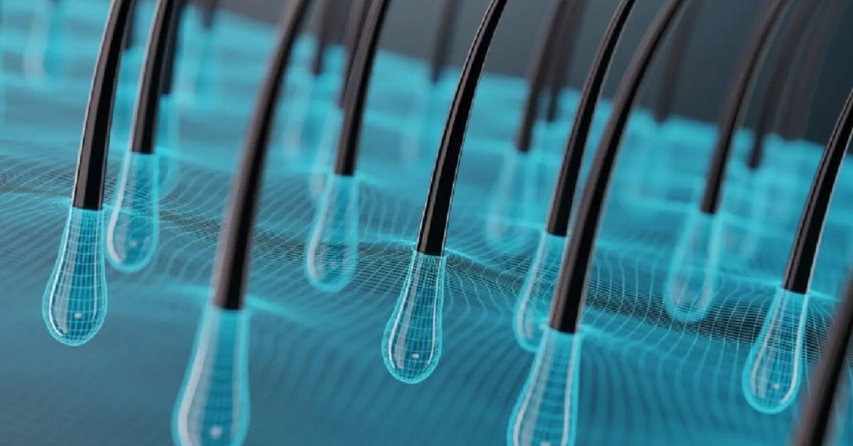 crescimento do cabelo representado em folículos capilares humanos em modelo 3D