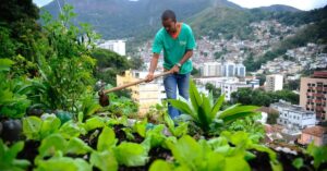 Jovem agricultor atua em cultivo comunitário urbano como incentivo a jovens na agricultura urbana