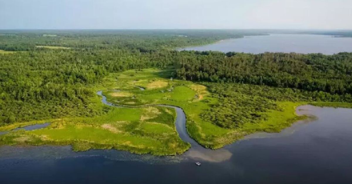 Vista aérea da Amazônia onde está localizado o maior reservatório do mundo de água doce subterrânea, o Sistema Aquífero Grande Amazônia