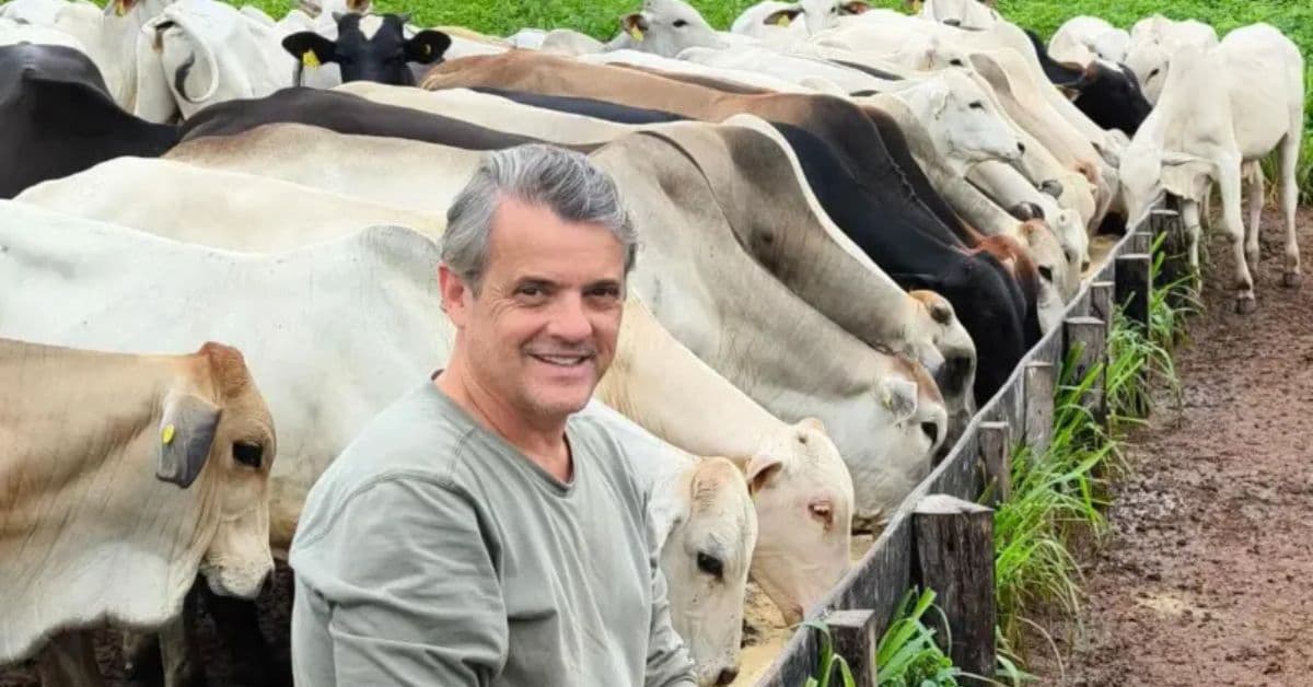 Pecuária sustentável na Amazônia com Fonseca e os bois