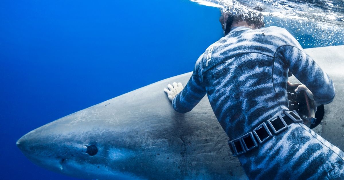 traje de surfe com padrões inspirados na pele de tubarão durante mergulho em alto-mar