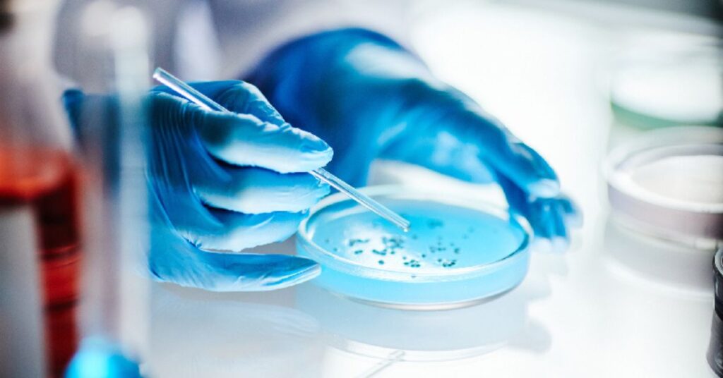 Pesquisador manipula amostra em laboratório para desenvolvimento de gel cicatrizante