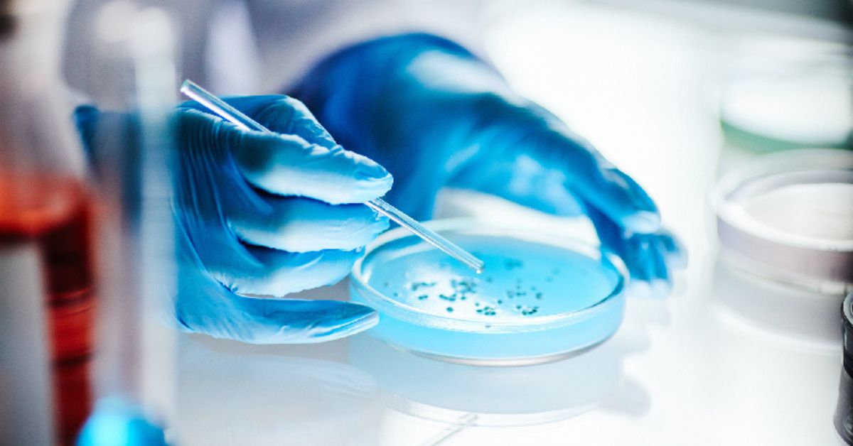 Pesquisador manipula amostra em laboratório para desenvolvimento de gel cicatrizante