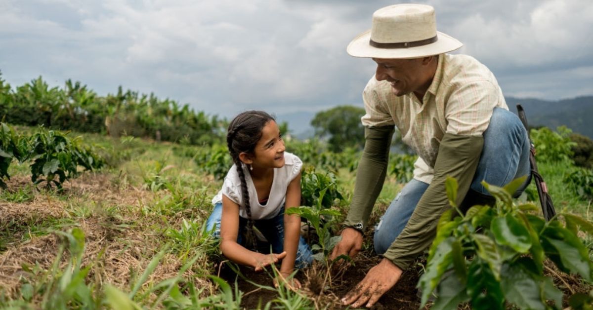investimento na agricultura familiar fortalece produção de alimentos em comunidade rural da Amazônia