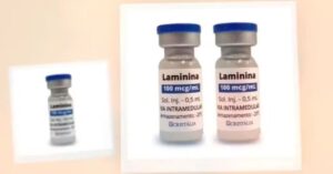 tratamento com polilaminina aplicado na medula espinhal durante cirurgia experimental