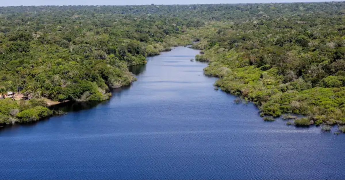 valor econômico da Amazônia refletido na floresta e no rio que contribuem para geração de chuva e impacto no PIB