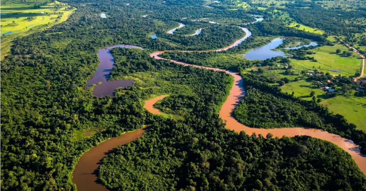 áreas protegidas no Pantanal com vegetação preservada e rios