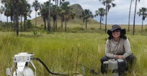 Reservas de carbono no Cerrado podem superar as da Amazônia e ajudar no equilíbrio do clima