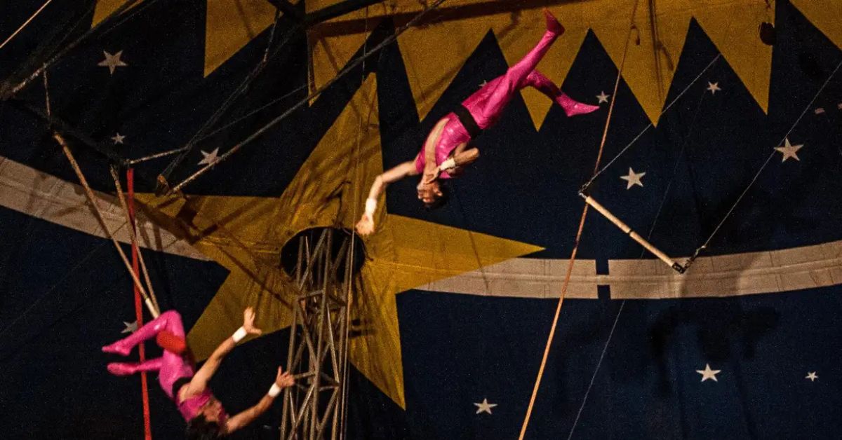 artistas realizam número de trapézio em apresentação de circo de tradição familiar no Brasil