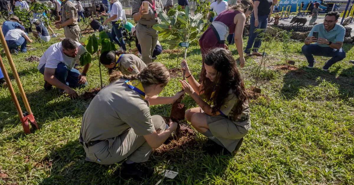 Participantes plantam mudas no bosque da COP15 durante ação ambiental em Campo Grande