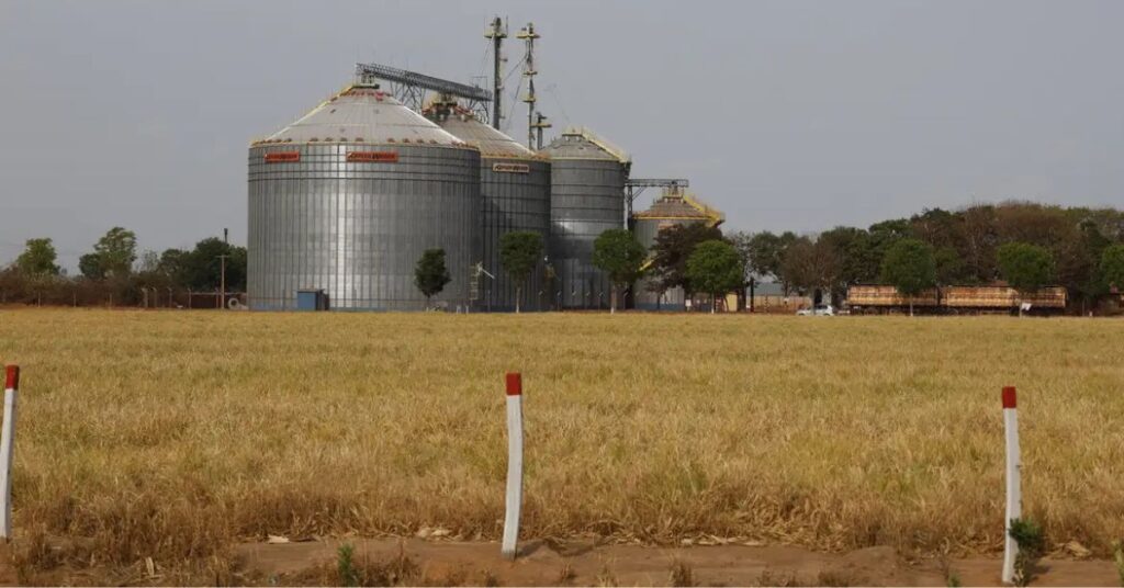 Silos de grãos representam o Crescimento do PIB do Brasil impulsionado pela agropecuária em 2025