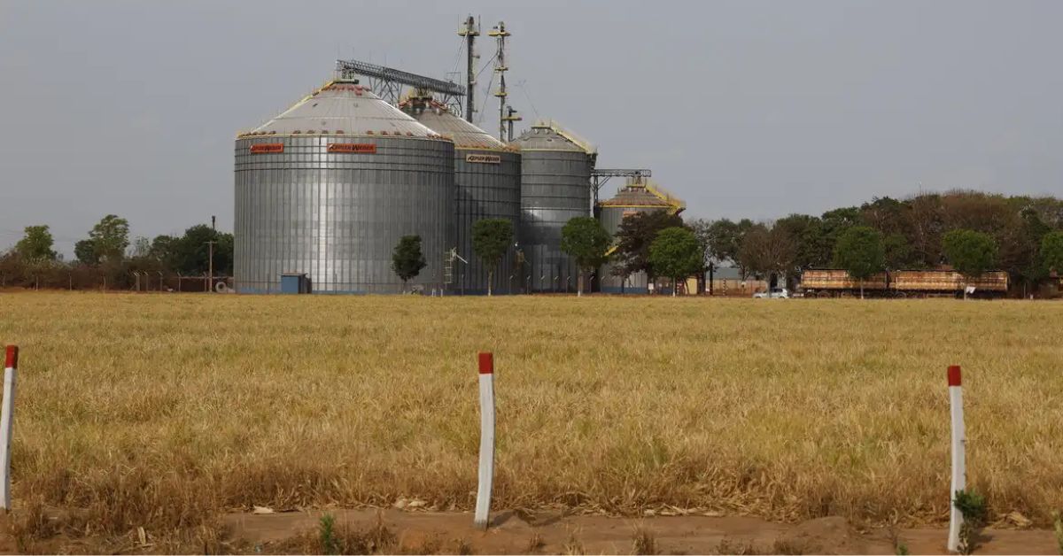 Silos de grãos representam o Crescimento do PIB do Brasil impulsionado pela agropecuária em 2025
