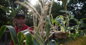 Fundo Amazônia impulsiona inclusão rural com R$ 53 milhões em investimento