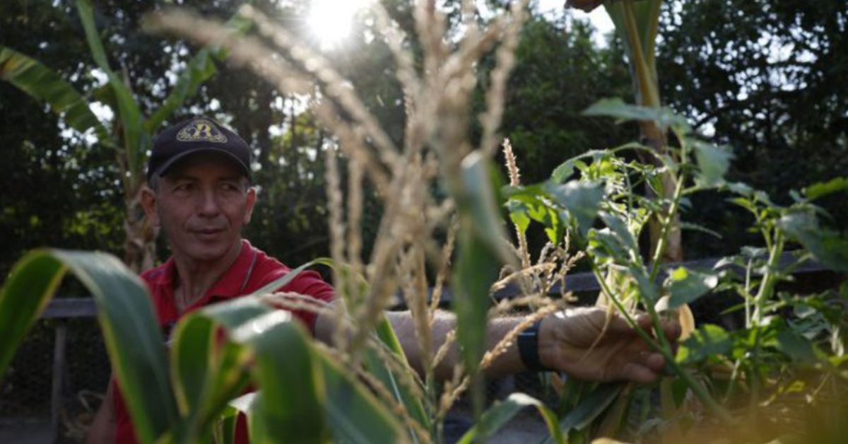 agricultor familiar em área rural beneficiada pelo Fundo Amazônia no Maranhão