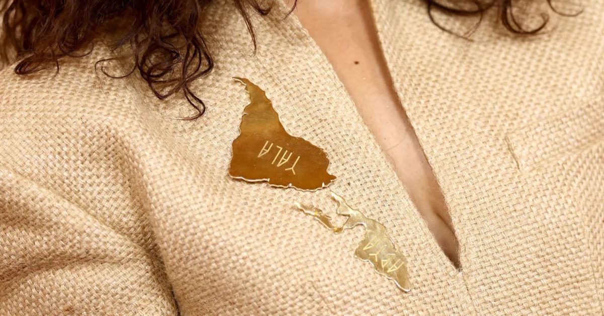 broche Abya Yala usado por Alice Carvalho com vestido de fibras da moda amazônica no Oscar 2026