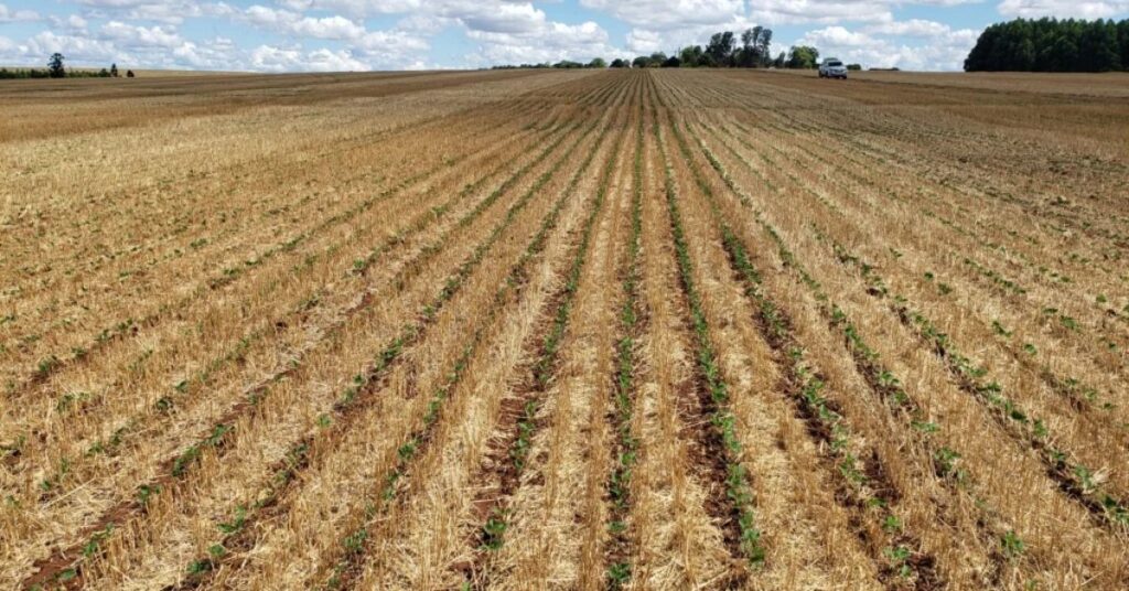 terras abandonadas no Cerrado identificadas por tecnologia agrícola e prontas para recuperação produtiva