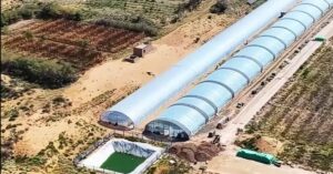 China transforma areia do deserto em solo fértil em 10 meses e pode mudar a produção de alimentos