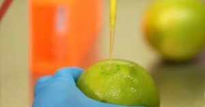 Conservar frutas por mais tempo: biodetergente da UFRJ e Embrapa pode reduzir gastos