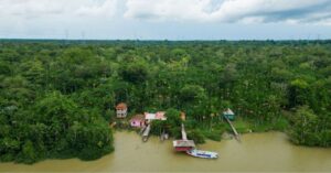 Amazonas será o primeiro estado a levar TV gratuita e ampliar acesso à informação