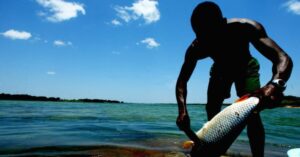 Nova regra da pesca pode aumentar renda e evitar escassez no Brasil