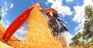 Produção de soja 2025/26 deve bater recorde e influenciar alimentos