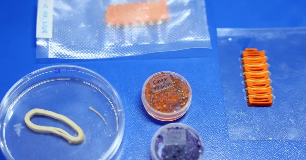 Alimentos veganos impressos em 3D desenvolvidos pela Embrapa reproduzem salmão, caviar e lula com ingredientes vegetais