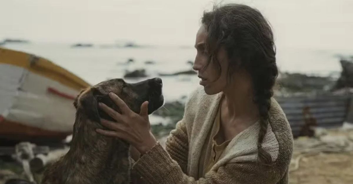 Cadela resgatada Yuri em cena do filme La Perra, vencedor do Palm Dog no Festival de Cannes