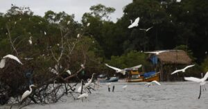 Combate ao crime organizado na Amazônia mira facções e proteção de jovens indígenas