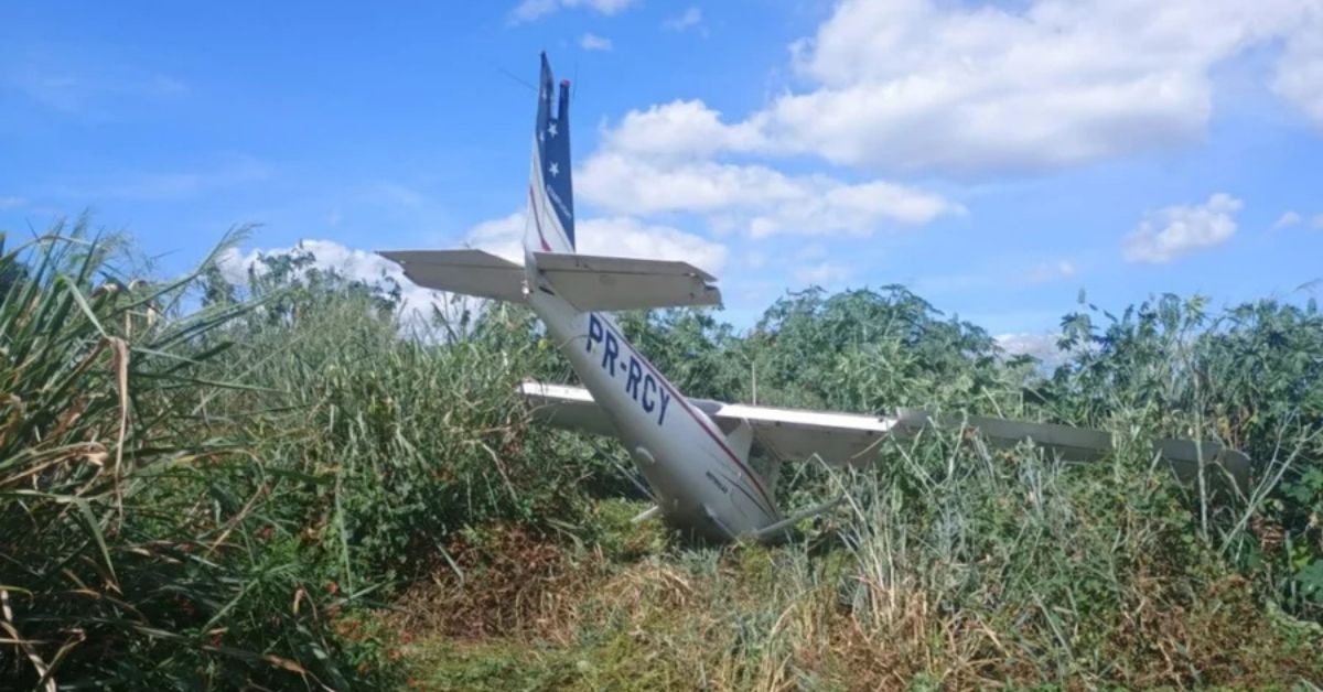 Piloto sobrevive pouso forçado em MG após falha no motor com aeronave em área de vegetação
