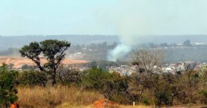 Periferias podem ficar até 5°C mais frescas com nova política de arborização