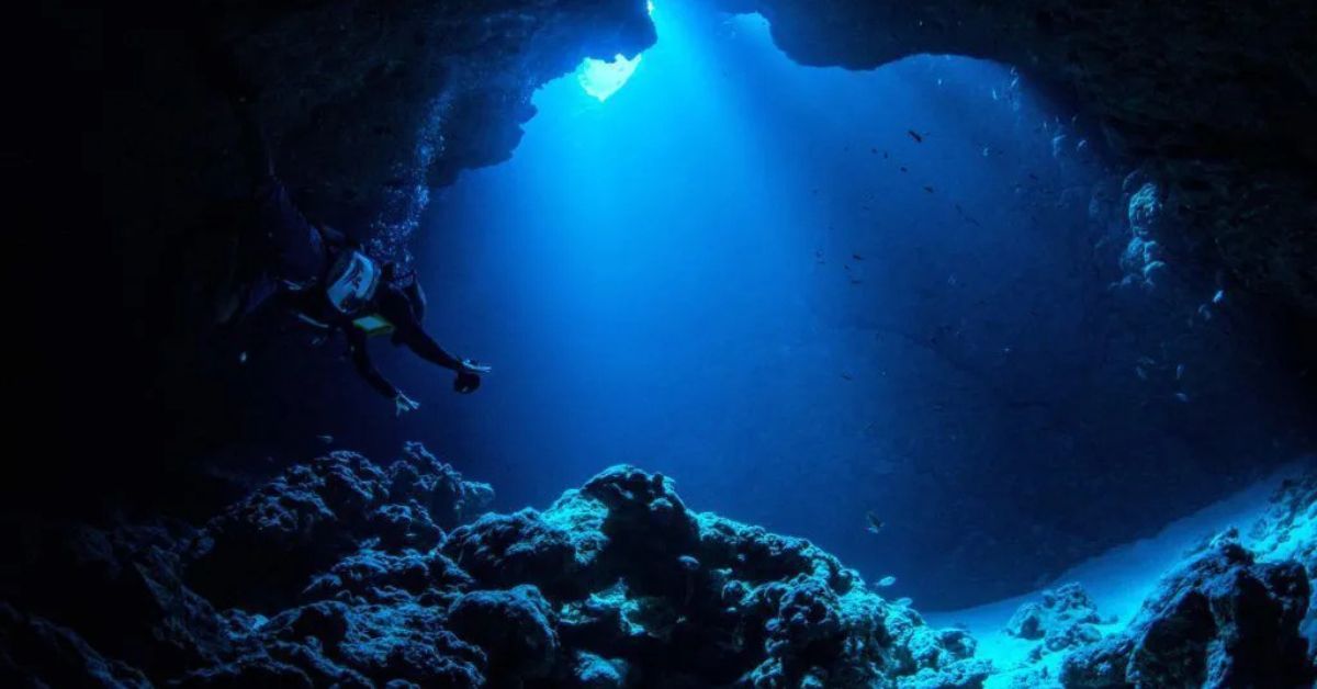 Mergulhador explora ecossistema marinho em águas profundas, ilustrando a importância do Tratado do Alto-Mar para a proteção dos oceanos e da biodiversidade marinha.