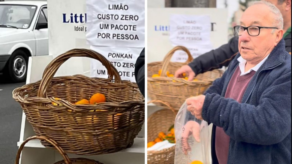 Todos os dias, o agricultor leva alimentos gratuitos do sítio para uma estrutura instalada no centro de Porto União.